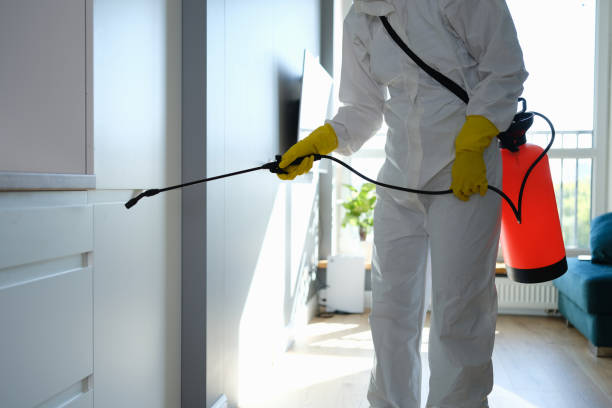 Best Residential Mold Remediation in Estes Park, CO