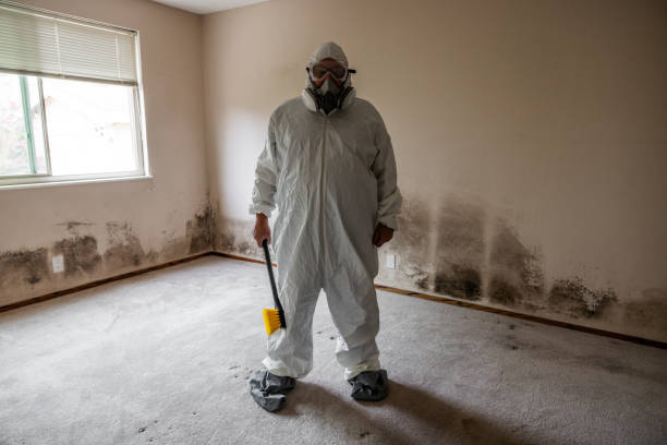Best Industrial Mold Remediation in Estes Park, CO